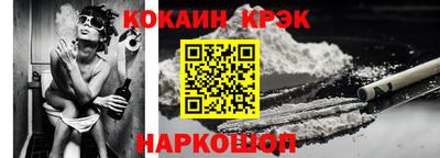 кокс Кингисепп