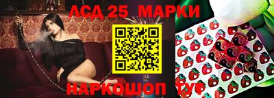кокс Кингисепп