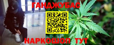 кокс Кингисепп