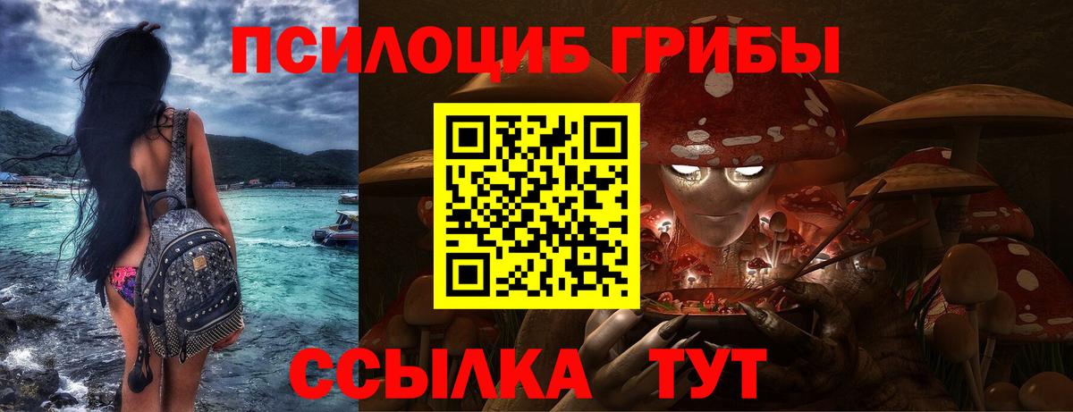 Галлюциногенные грибы мицелий Котовск